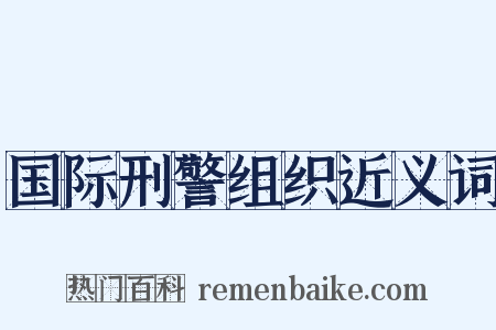 国际刑警组织近义词是什么意思的图片
